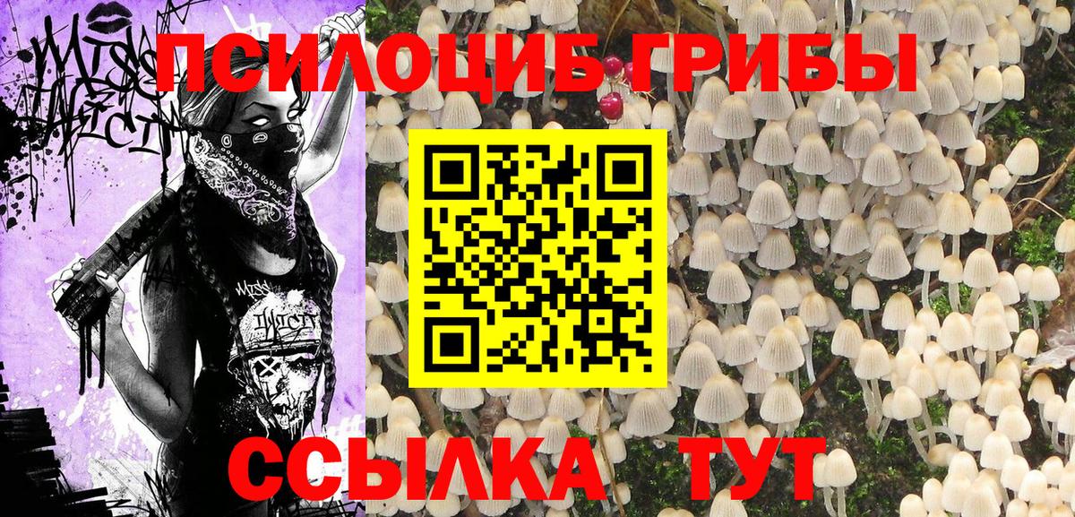 Псилоцибиновые грибы ЛСД  Вход с VPN  Вязьма 
