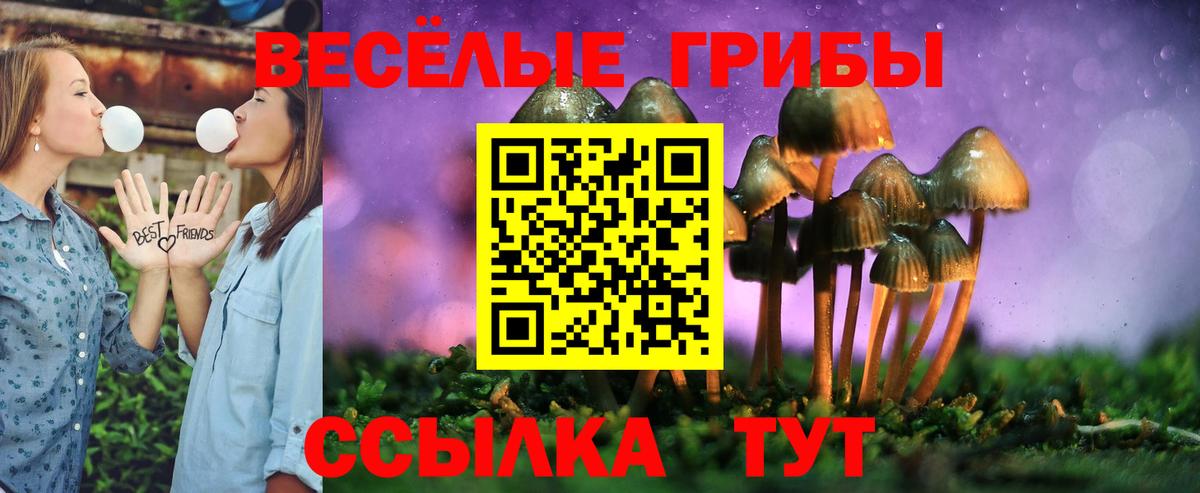Псилоцибиновые грибы ЛСД Вязьма